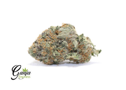 $89 Oz – Rockbud