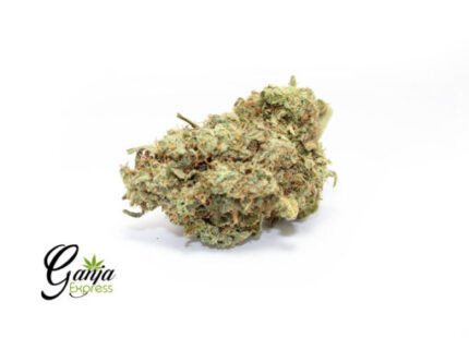 Romulan Haze #2 (Bulk)