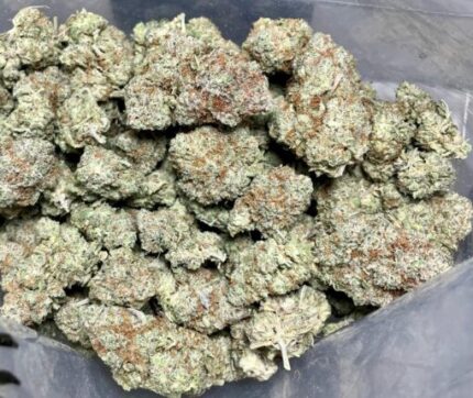 Budget $79 Oz – Red Congolese