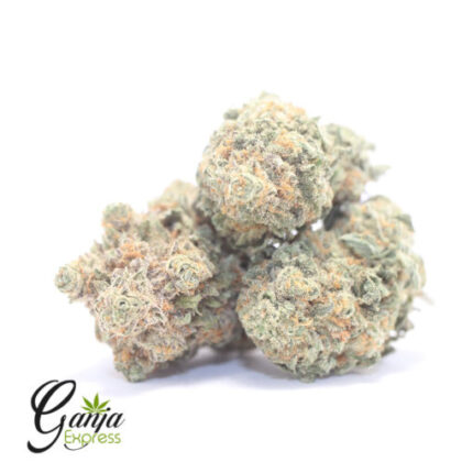 $77 Oz – Sugar Cookies