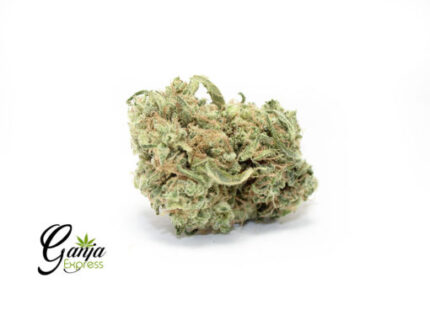 Select Sweet Skunk (Bulk)