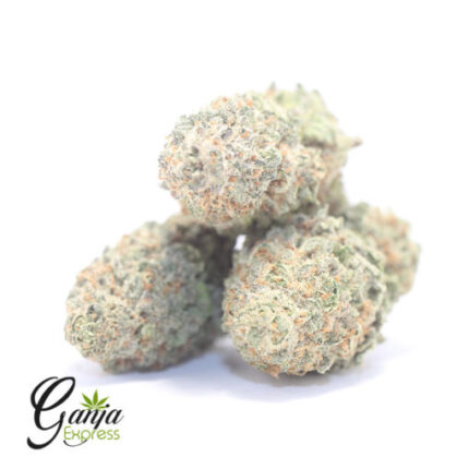 $80 Oz – Sour Poison