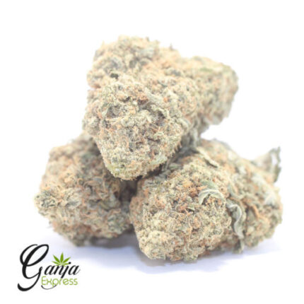 $72 Oz – Sugar Cookies