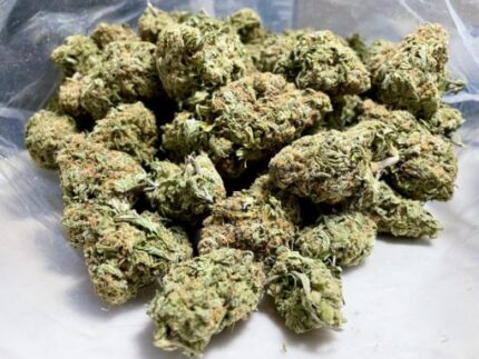 Budget $76 Oz – Sunshine