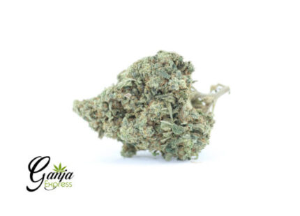 $89 Oz – Sweet Skunk