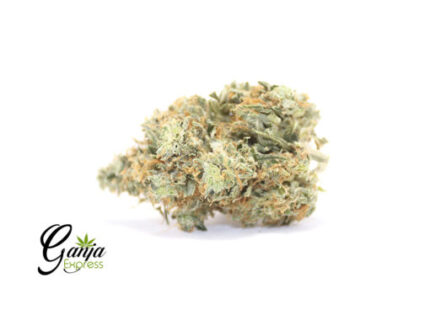 $119 – Sweet Tooth