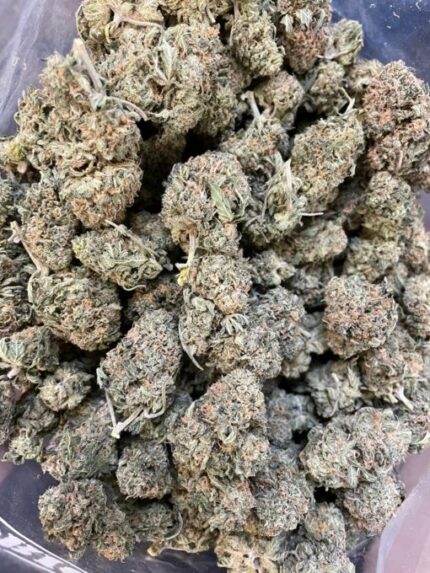 Kootenay Garden’s – Sour Poison