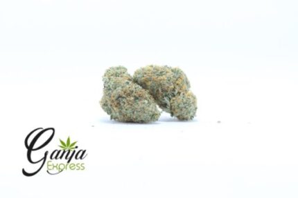 Tangerine Cookiez (Bulk)