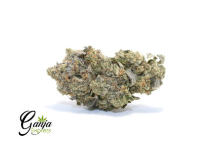 Tom Ford Pink Kush – 7G