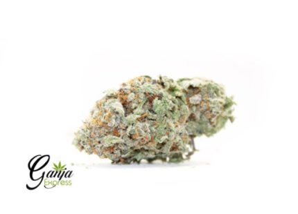 Wedding Crashers (Bulk)