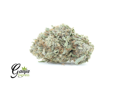 WHITE-WIDOW-2-1-510x368-1.jpg