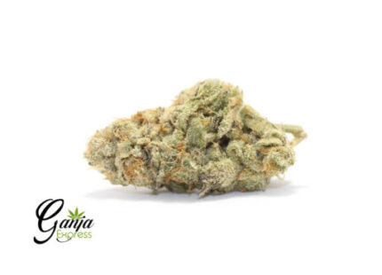 Zkittlez – 7G