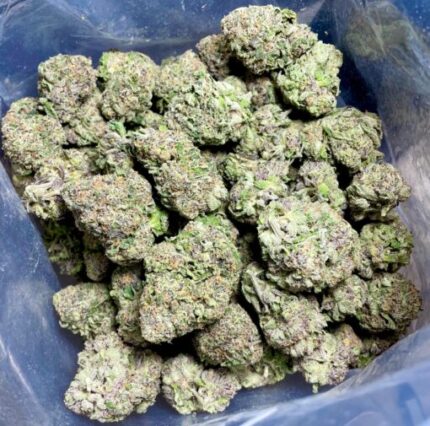 Budget $117 Oz – Alice In Wonderland