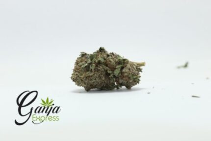 Purple Widow #2 (Bulk)