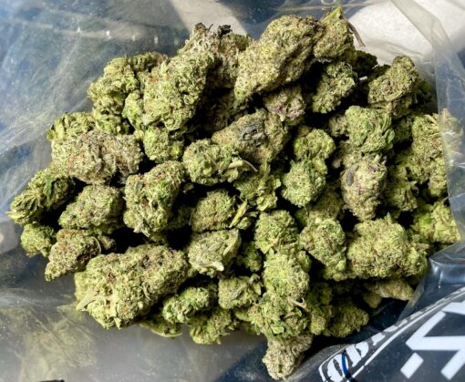 blackberry-diesel-510x419-2.jpeg
