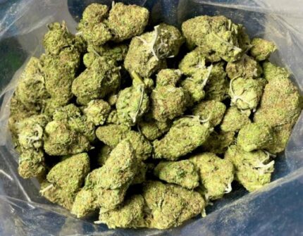 Budget $83 Oz – Blissful Wizard