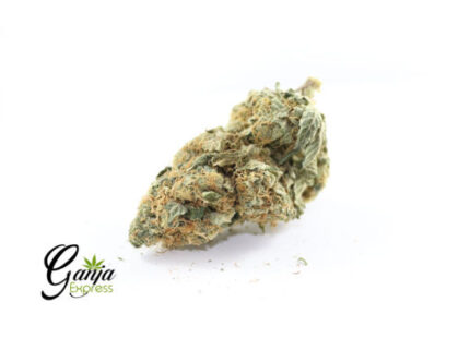 Blueberry Waffle (Bulk)