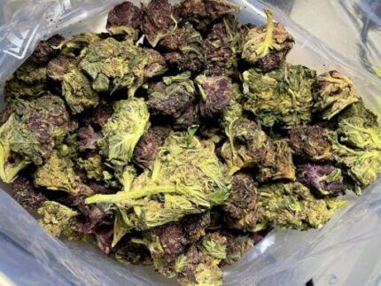 Budget $60 Oz – Blue Hawaiian