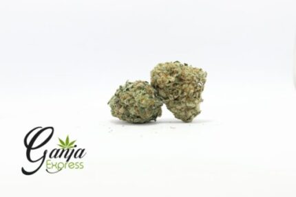 Brainstorm Haze (Bulk)