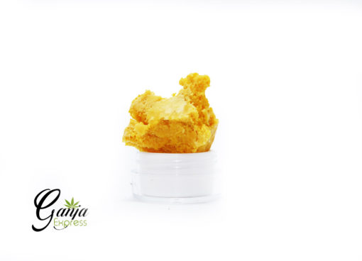 budder-2-1-510x368-2.jpg