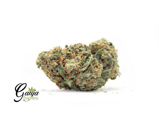 budget-sour-diesel-1-510x368-1.jpg