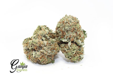 Candyland Special (Bulk)