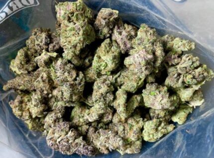 Budget $114 Oz – Concord Cream