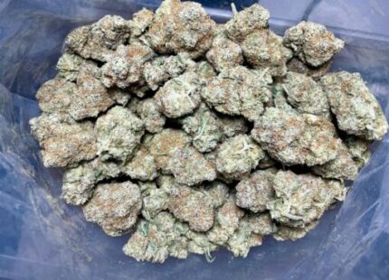 Budget $79 Oz – Champagne Kush