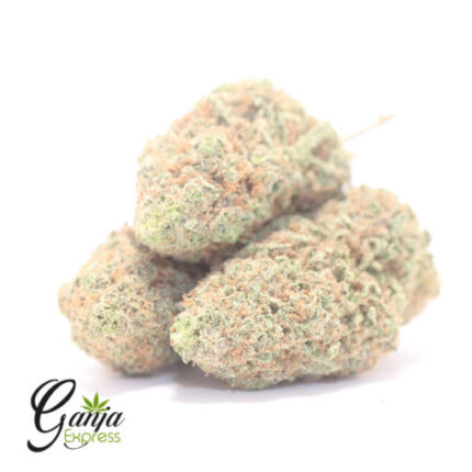 $72 Oz – Champagne Kush