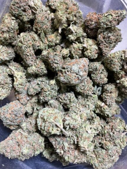 Kootenay Garden’s – Citrix