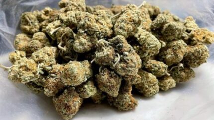 Kootenay Garden’s – Citrus Sunshine Haze