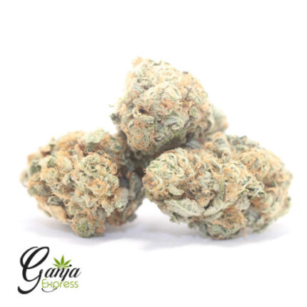 $72 Oz – Cookie Breath