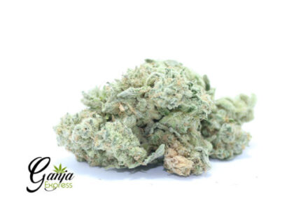 Critical Mass AA+ (Bulk)