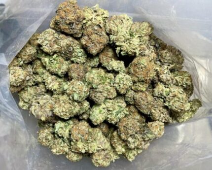 Budget $92 Oz – El Chapo OG