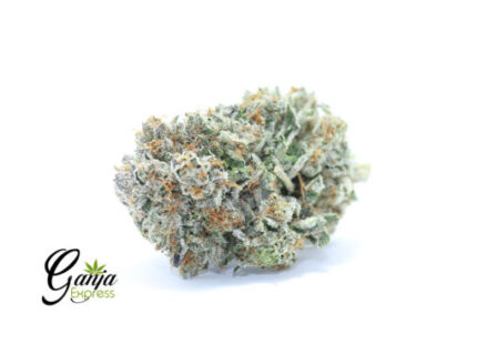 El Murette AAAA+ (Bulk)