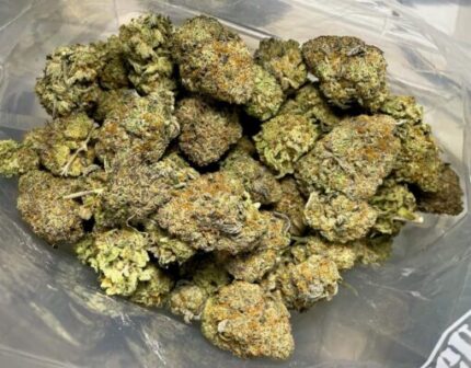 Budget $79 Oz – Extreme OG