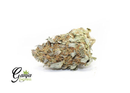 Forbidden Fruit (Bulk)