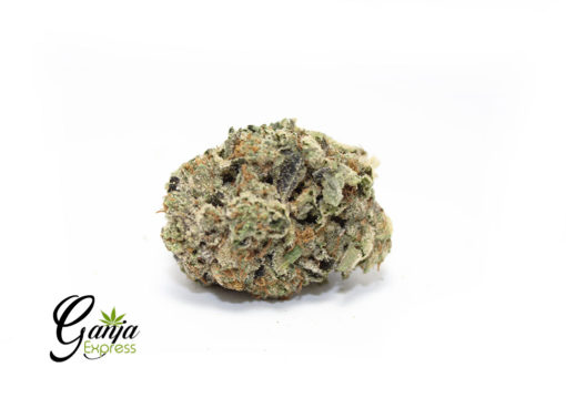 ganja-farms-black-tuna-510x368-1.jpg