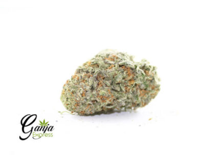 Gelato #4 by Bubba Kings (Bulk)