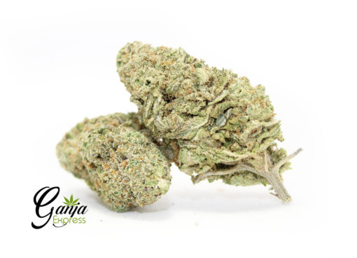 gelato-2-510x368-1.jpg