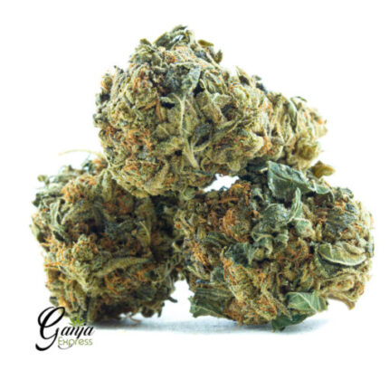 $45 Oz – Grease Monkey