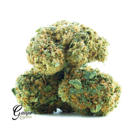 $39 Oz – White Castle