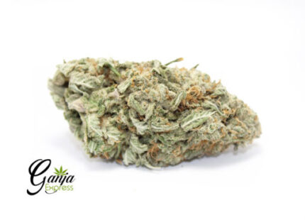 Alaskan Thunder Fuck #2 (Bulk)