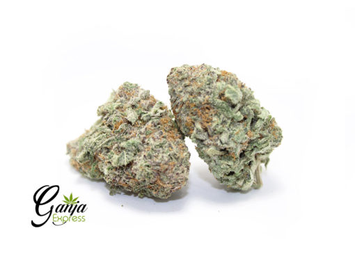 gi-farms-god-green-crack-2-510x368-1.jpg
