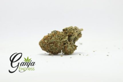 House Grease Monkey #2 (Bulk)