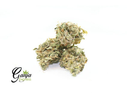 House Shishkaberry (Bulk)