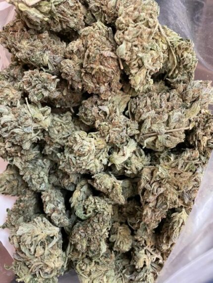 Kootenay Garden’s – Hashplant Haze