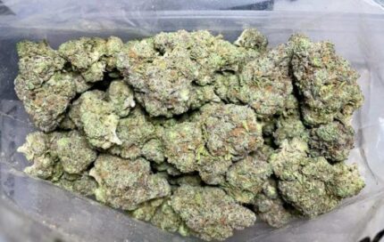 Budget $89 Oz – Hippie Crippler