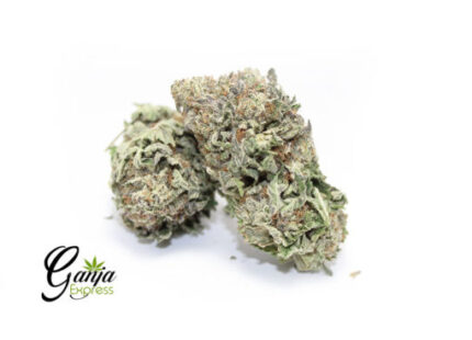 Grape Cookies (Bulk)