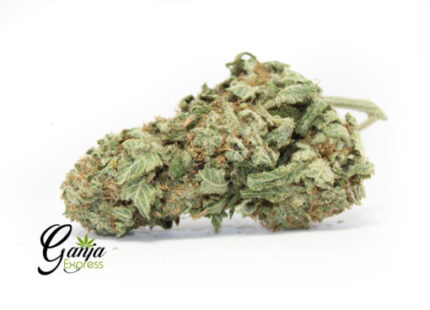 House Black Poison (Bulk)